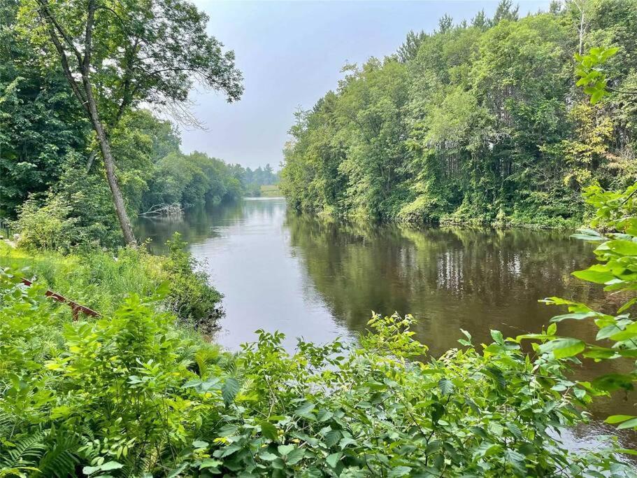 Coboconk Whispering Pines Riverside Retreatヴィラ エクステリア 写真